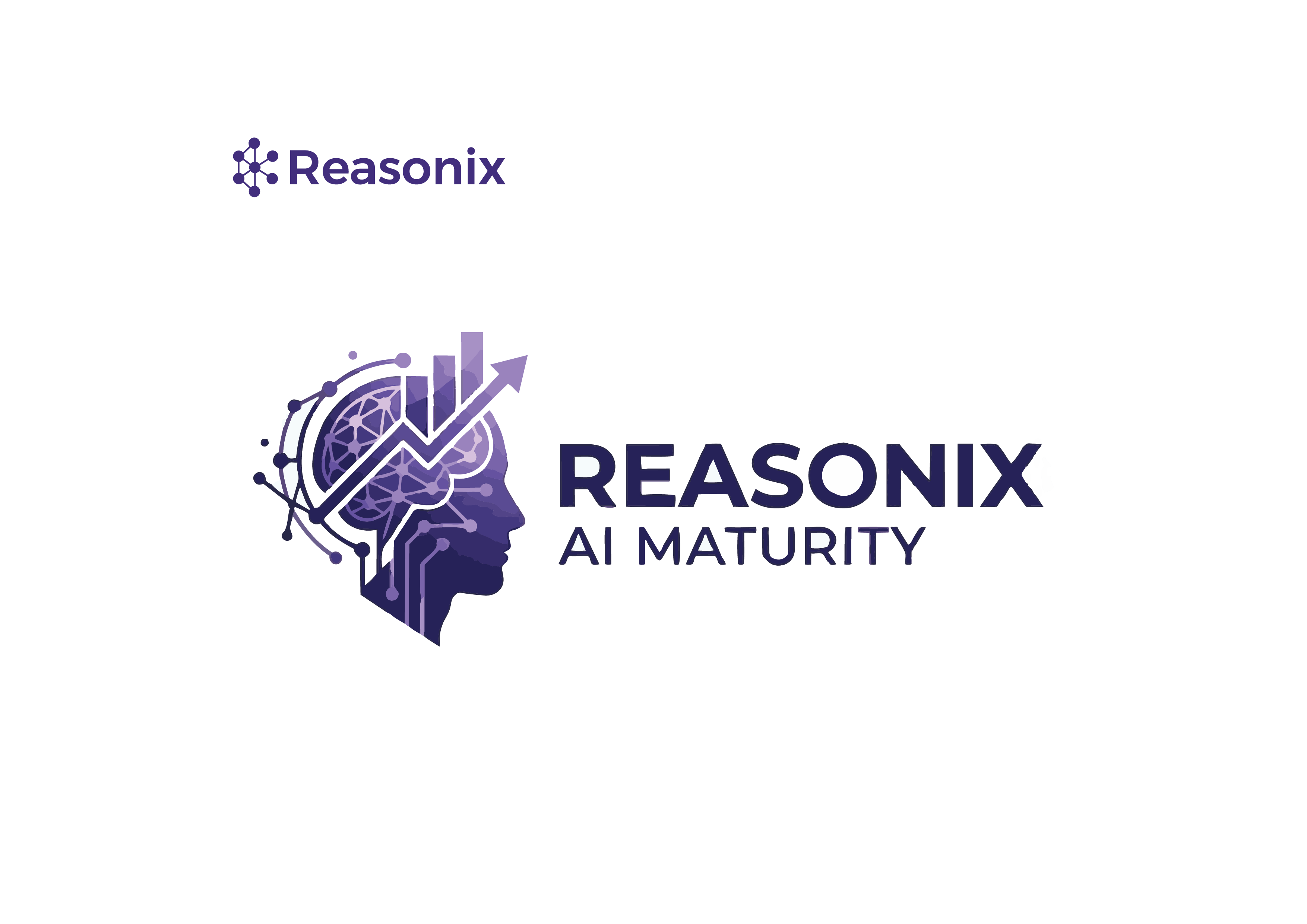 Reasonix AI Maturity Frame - RAIMF