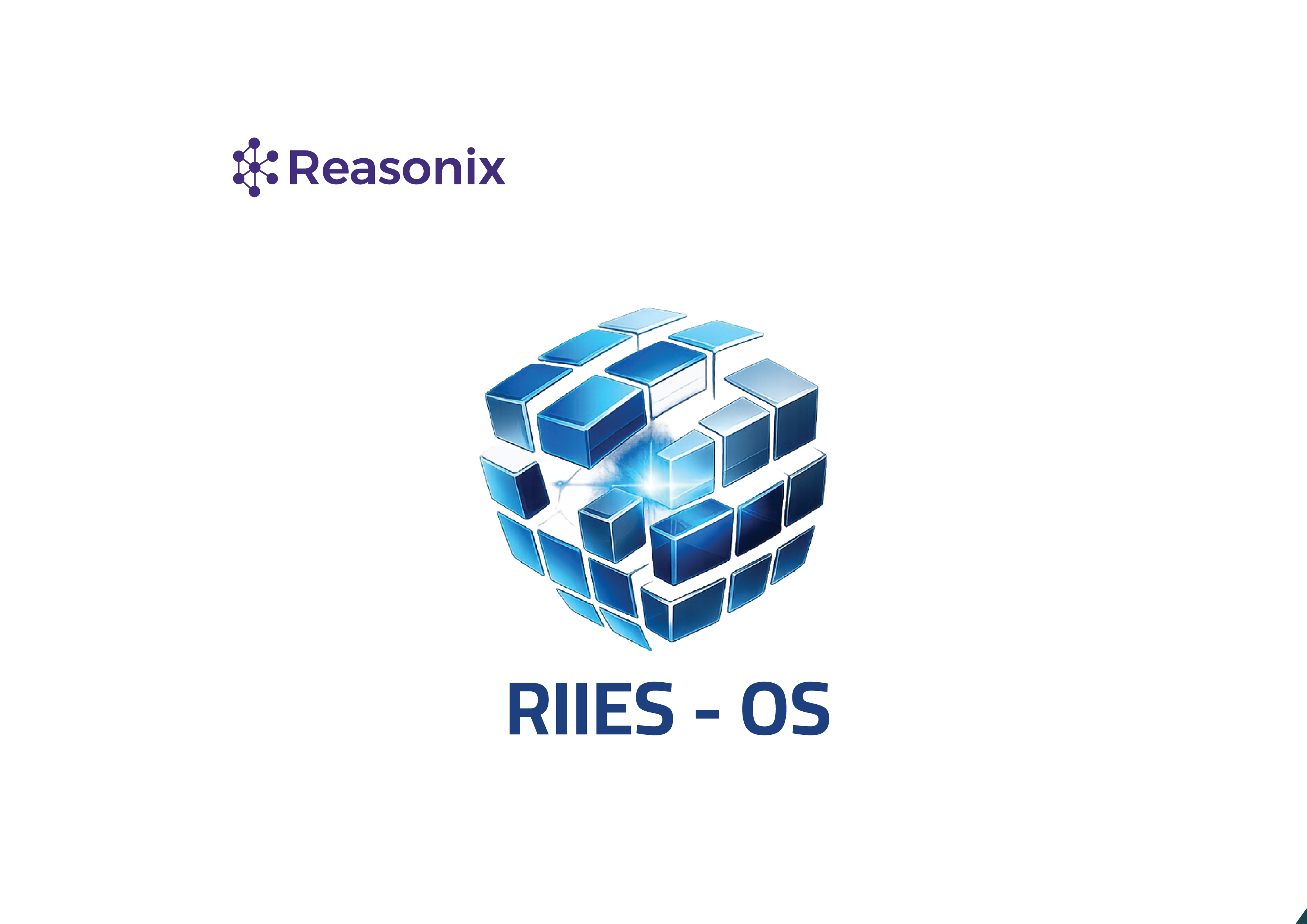 نظام التشغيل RIIES