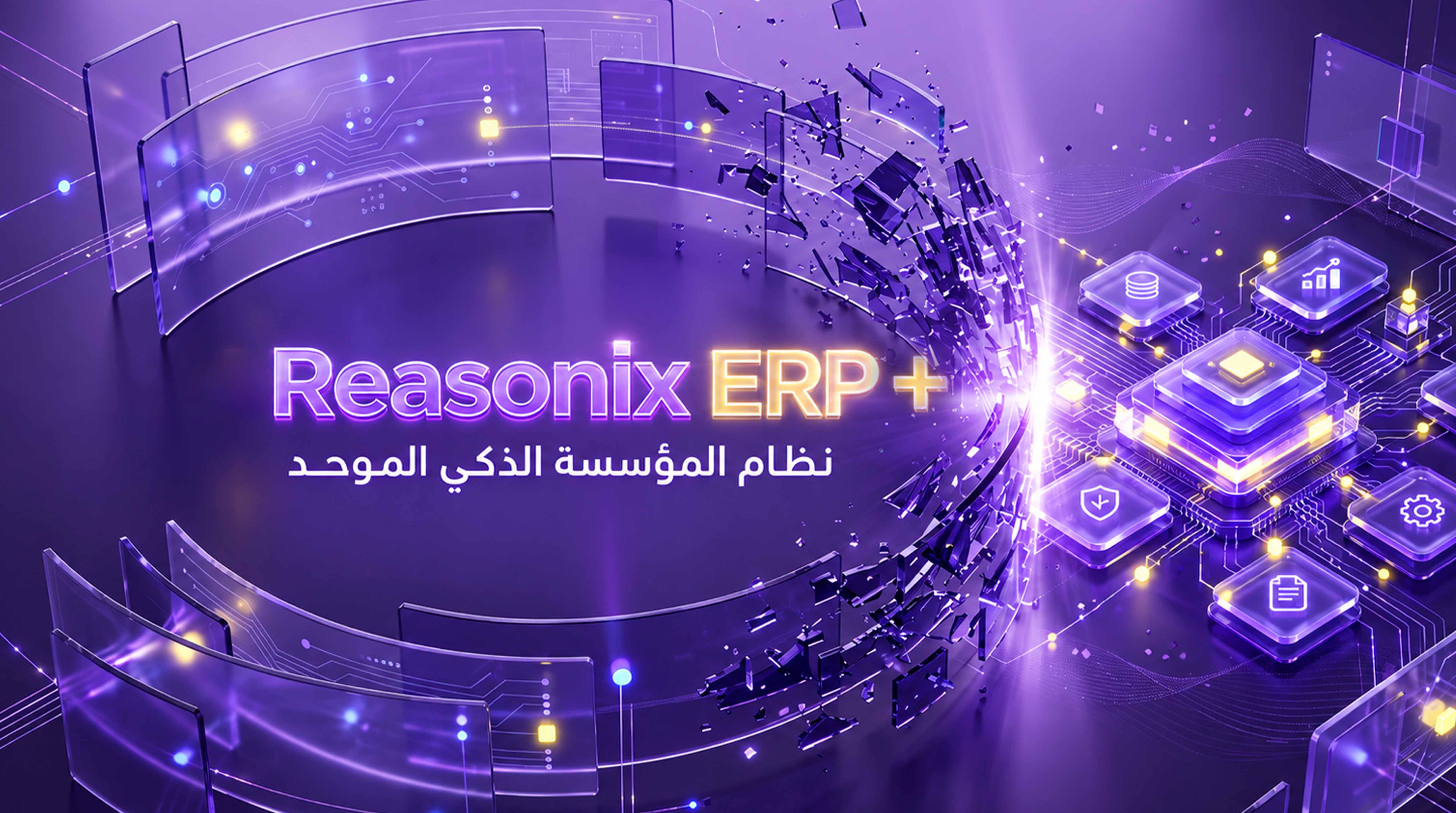 +Reasonix ERP