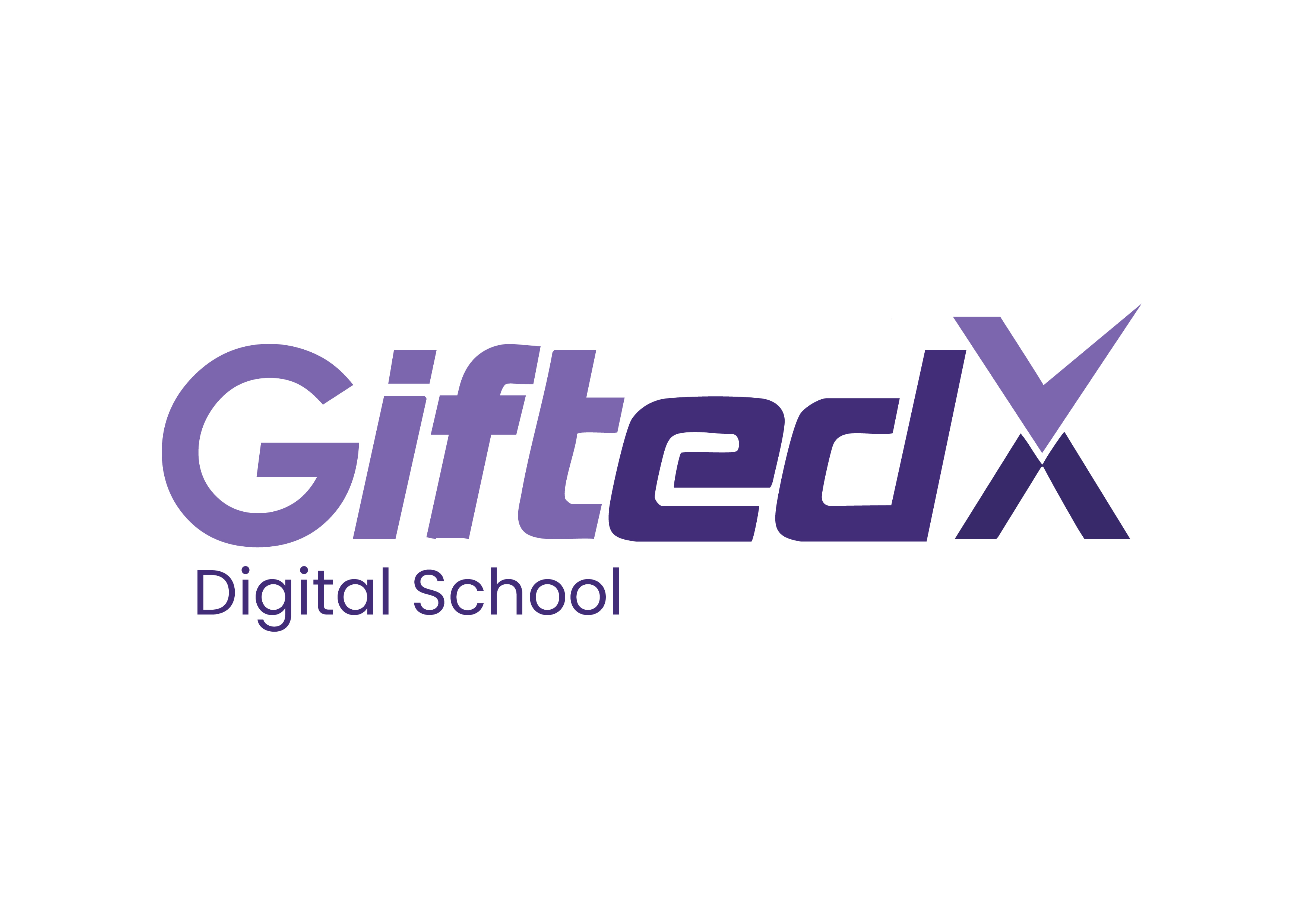 Digital School for Gifted Students