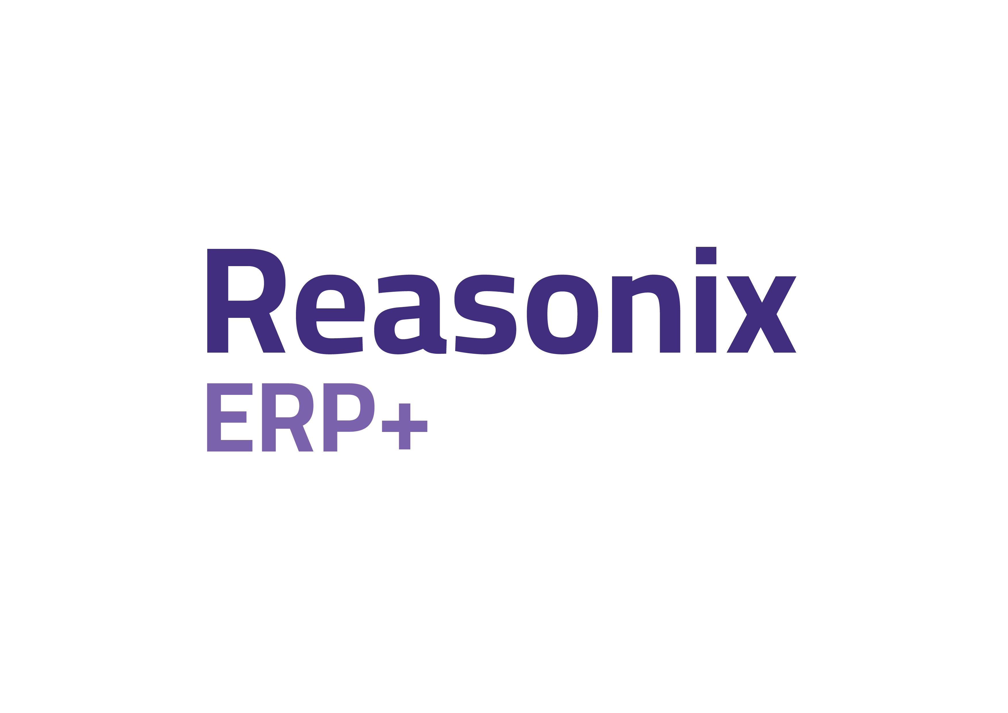 +Reasonix ERP