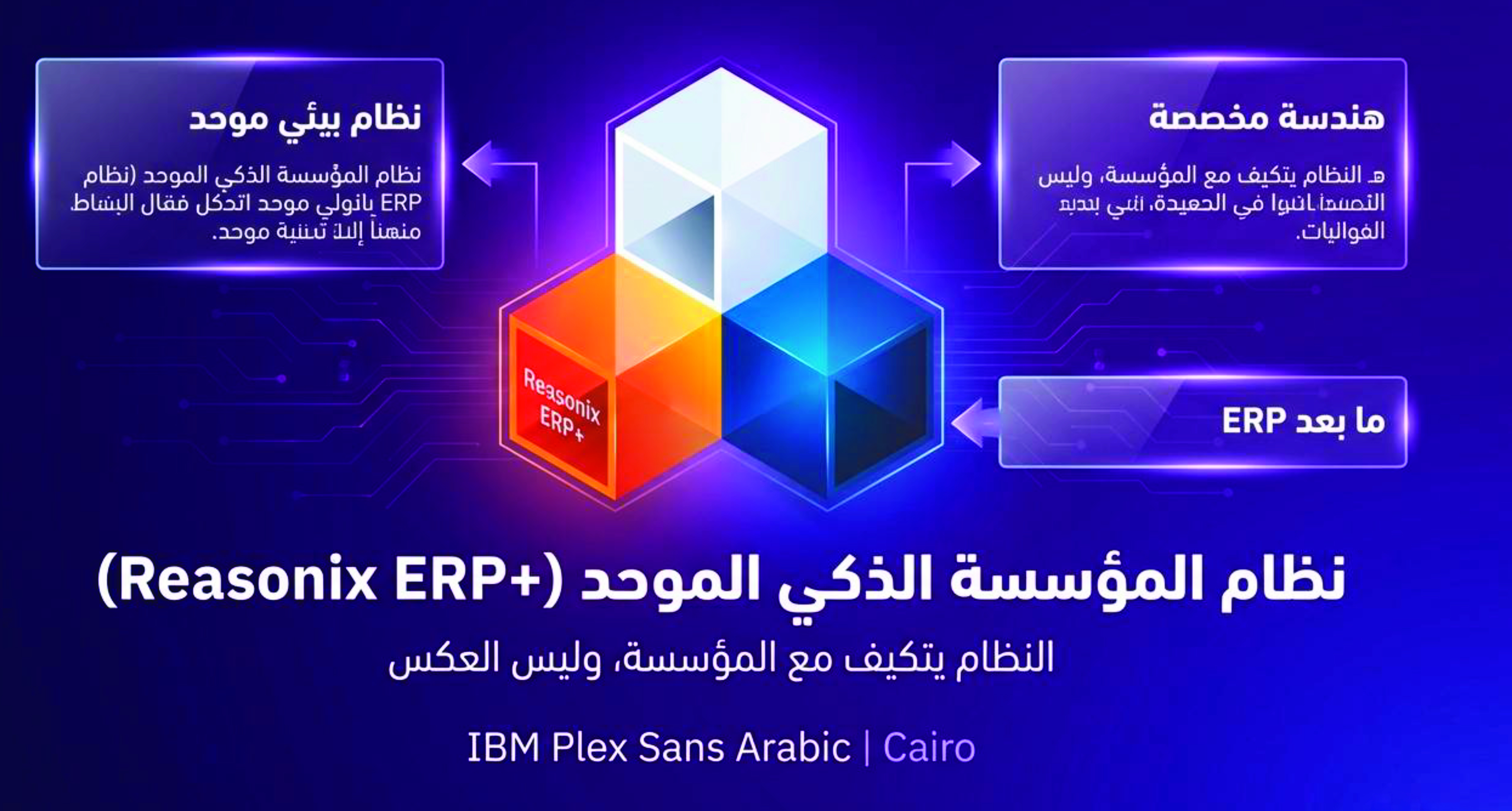 +Reasonix ERP